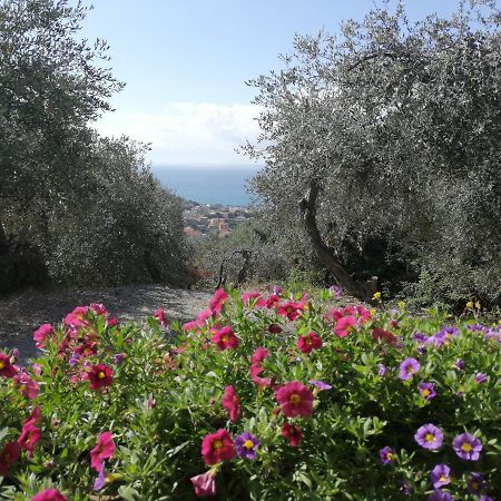דירות מונליה Casa Elena מראה חיצוני תמונה